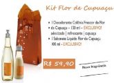Kit Flor de Cupuaçu